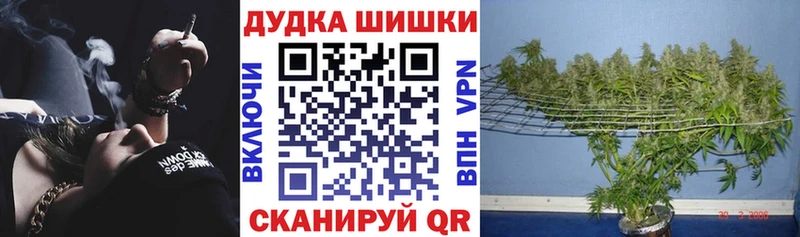 Бошки марихуана OG Kush что такое Облучье